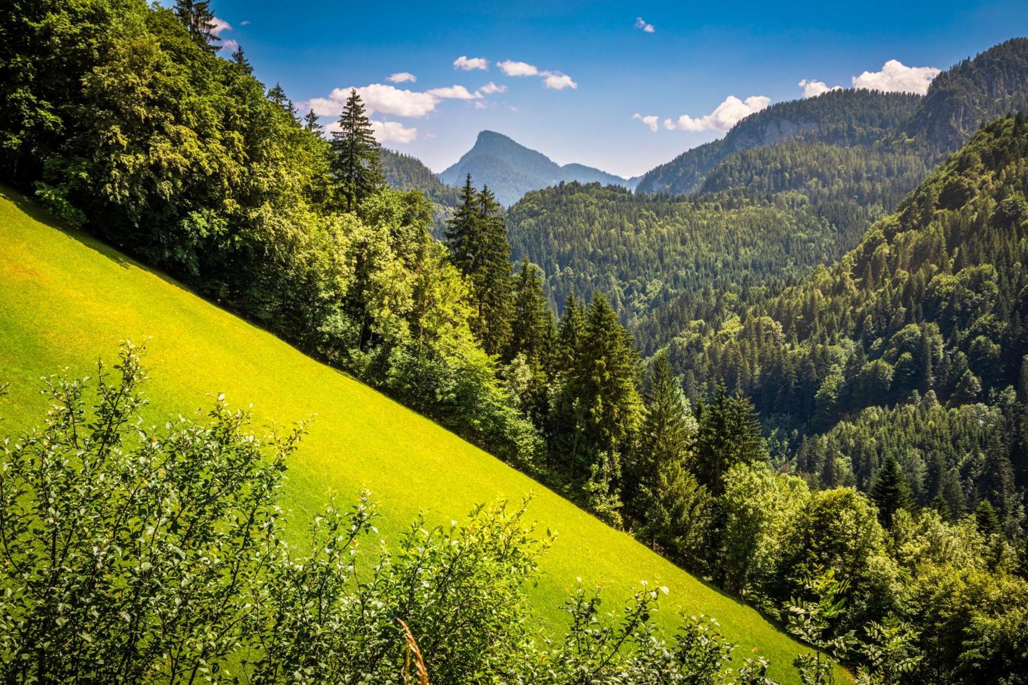 Biobauernhof Schneiderbauer Daire Unken Dış mekan fotoğraf